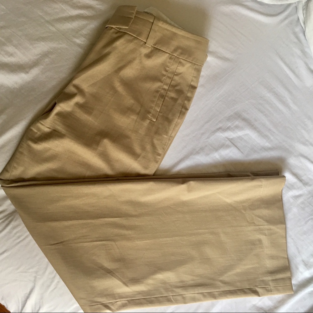 Ann Taylor pants